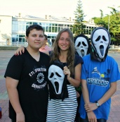 Halseva English City 